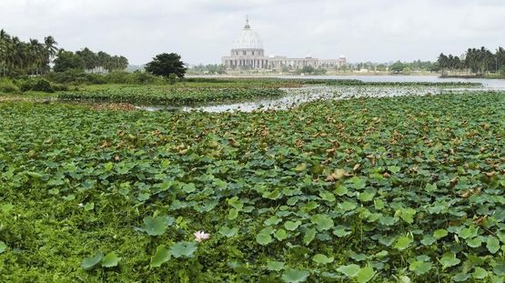 Yamoussoukro, Cote d'Ivoire