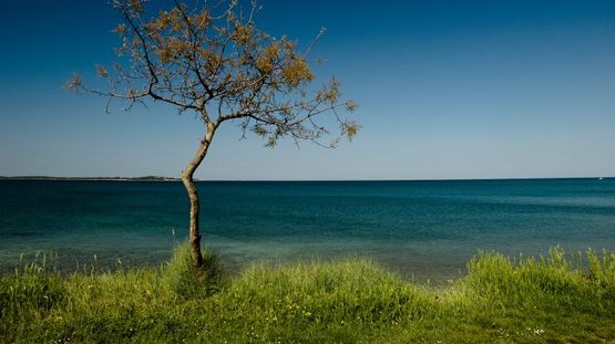 Brijuni Islands, Croatia