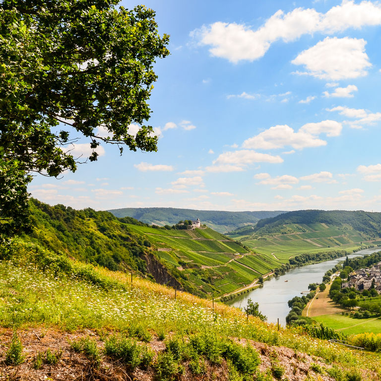 P&O Cruises European Inland Waterways Cruises