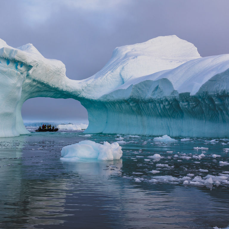 Holland America Line Antarctica Cruises