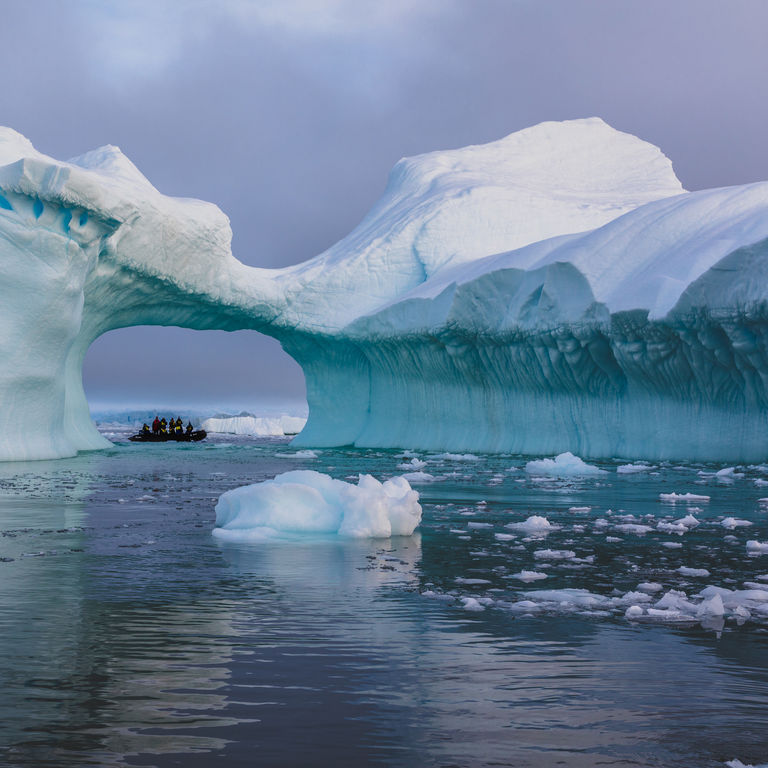 Ponant Antarctica Cruises