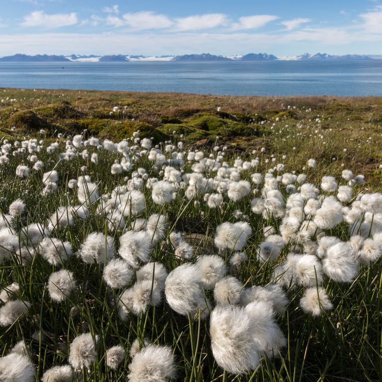 Azamara Arctic Circle Cruises