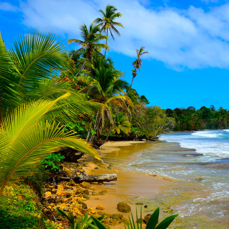 MSC Cruises Central America & Panama Canal Cruises