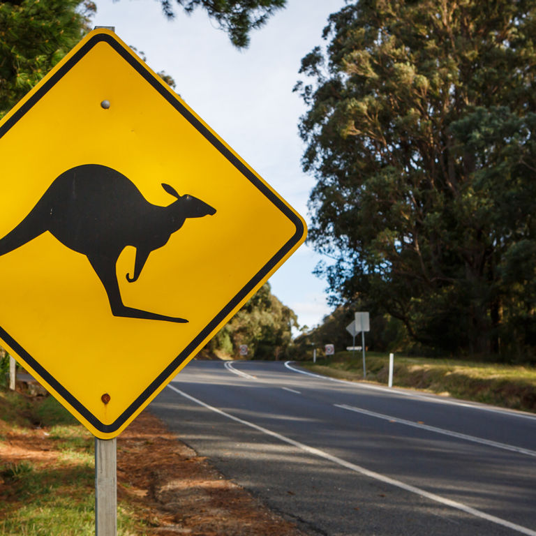 Australia & New Zealand Cruises