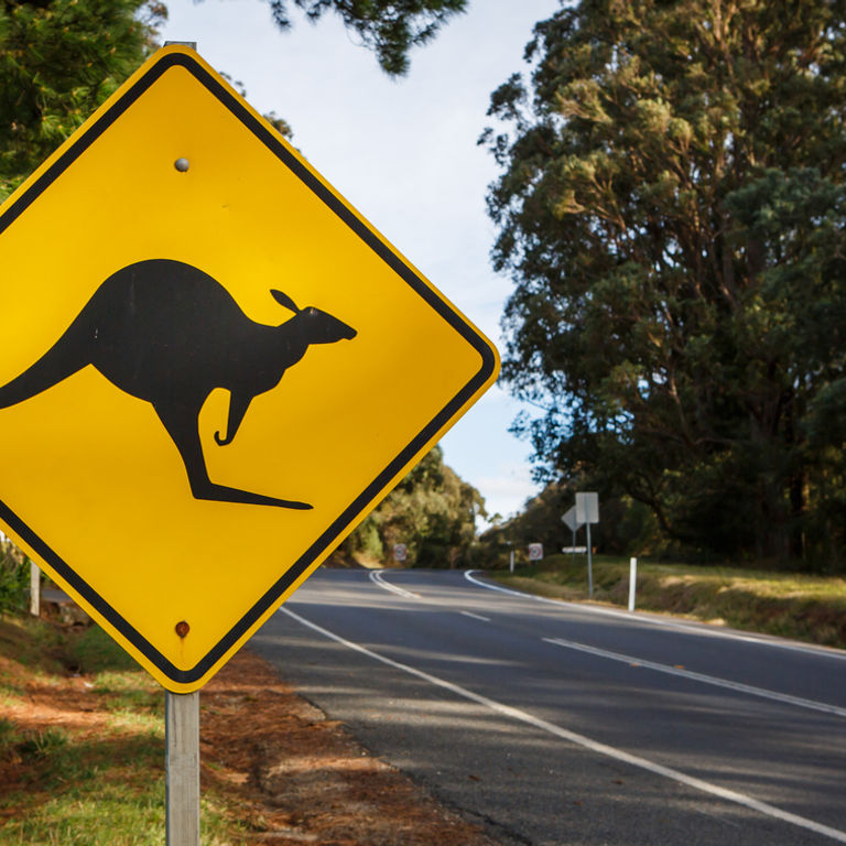 Celebrity Cruises Australia & New Zealand Cruises