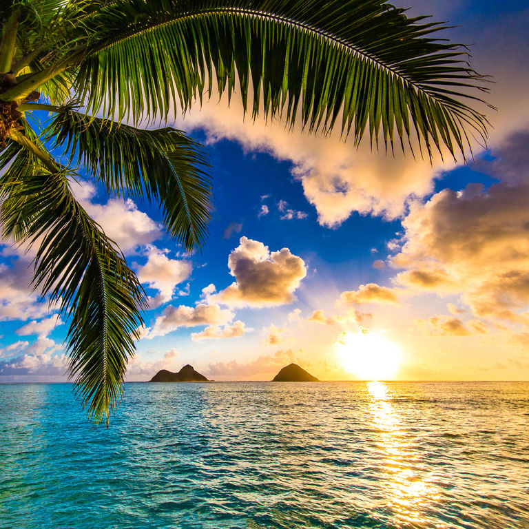 Carnival Cruise Line Hawaii Cruises