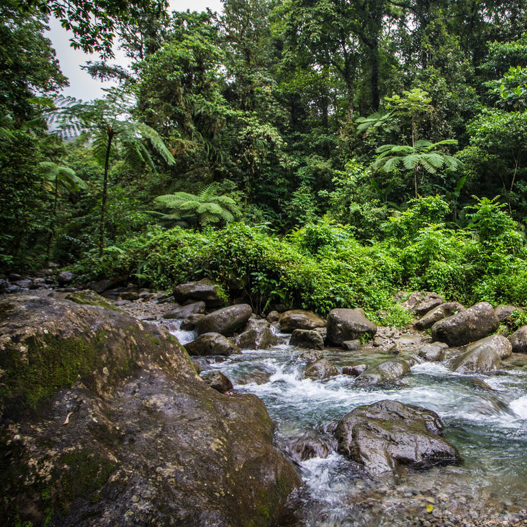 Celebrity Cruises Caribbean Eastern Cruises