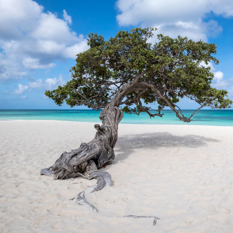 MSC Cruises Caribbean Southern Cruises