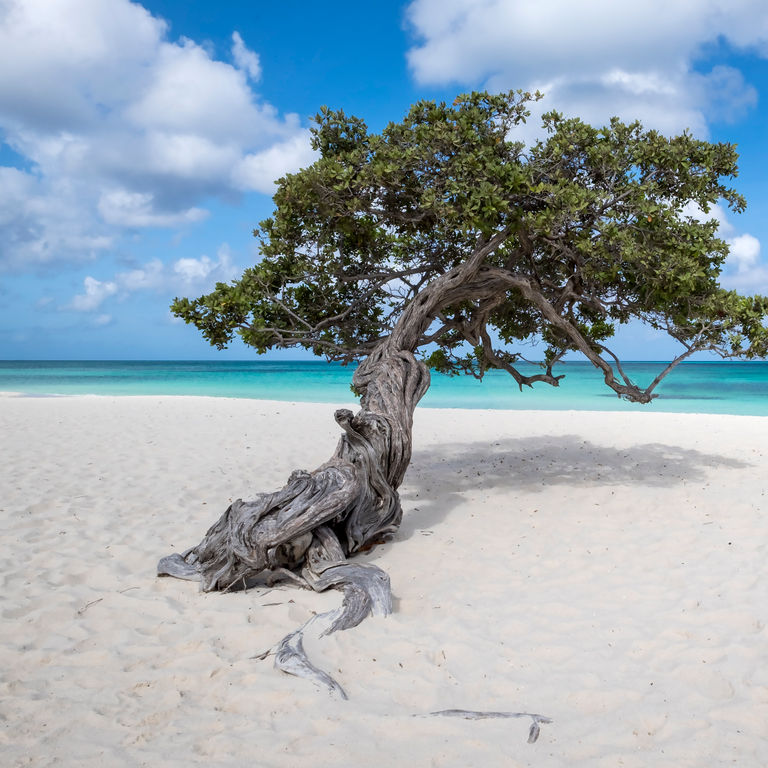 Oceania Cruises Caribbean Southern Cruises