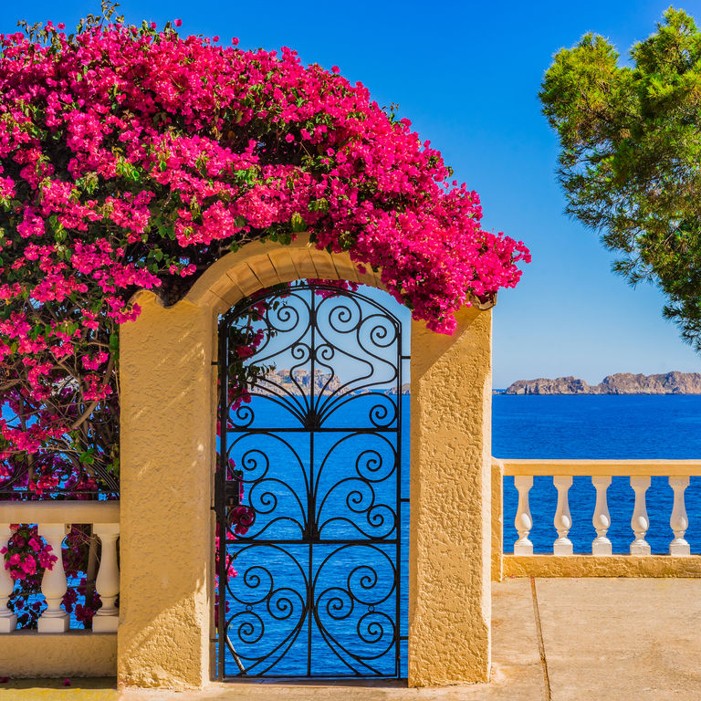 MSC Cruises Mediterranean Western Cruises
