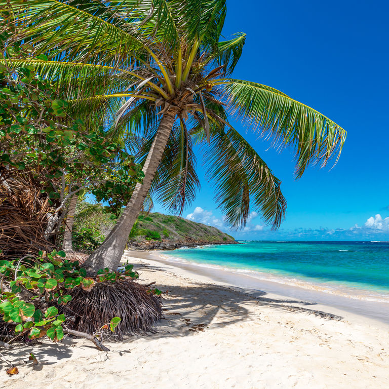 MSC Cruises Bahamas Cruises