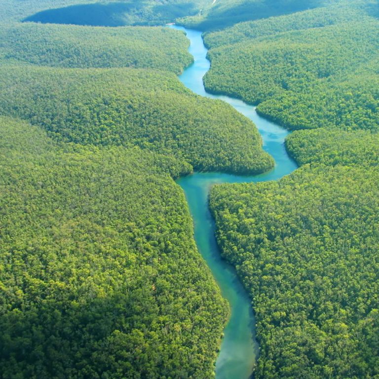 Amazon River Cruises