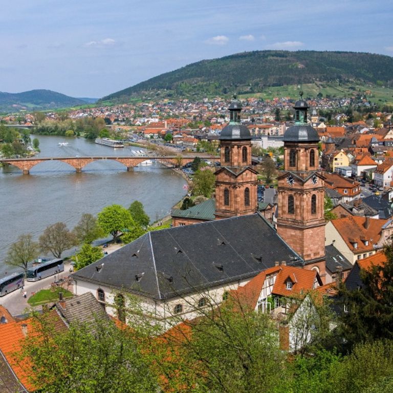 Main River Cruises