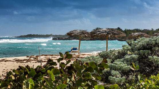 Rafael Freyre, Cuba