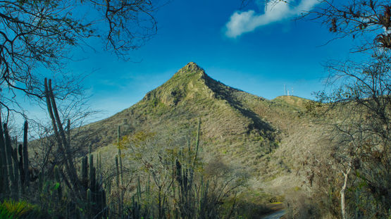 Christoffel National Park, Curacao