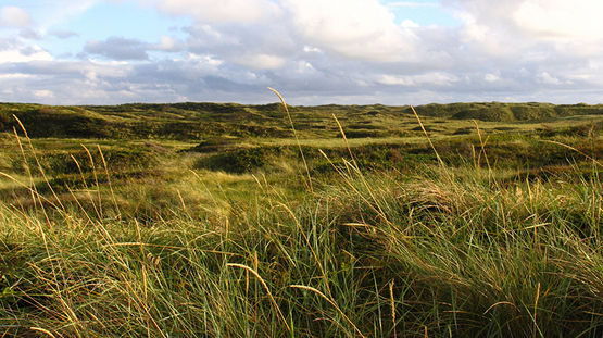 Thy National Park, Denmark