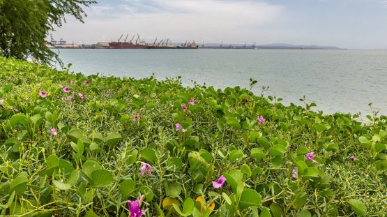 Djibouti City, Djibouti