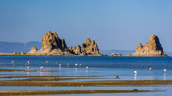 Lake Abbe, Djibouti