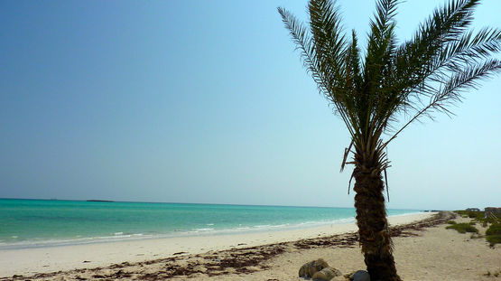 Maskali And Moucha Islands, Djibouti