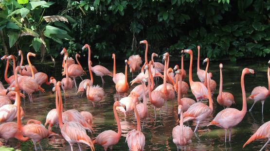 Jaragua National Park, Dominican Republic