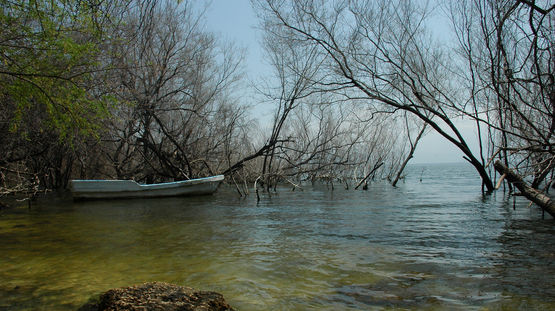 Lago Enriquillo, Dominican Republic