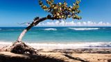 <b>Puerto Plata Scenery</b>
