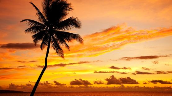 Nadi, Viti Levu Island, Fiji