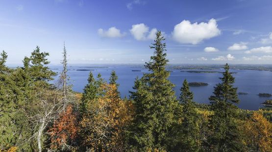 Lieksa, Finland