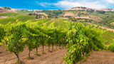 <b>Bordeaux Scenery</b>
