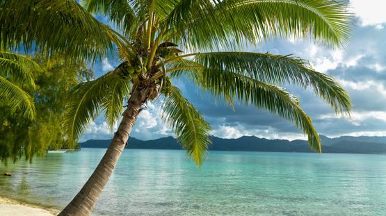 Hiva Oa, Marquesas Islands, French Polynesia