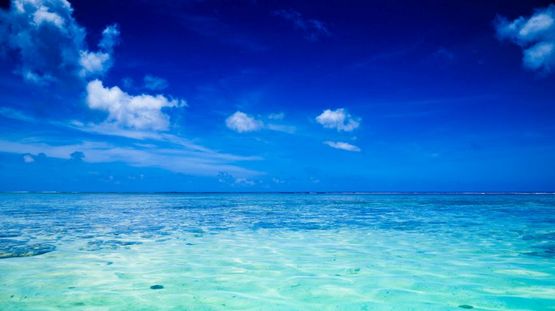 Tetiaroa, Society Islands, French Polynesia