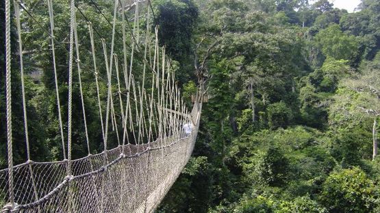 Kakum Nature Reserve, Ghana