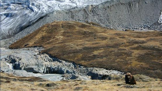 Mid-Greenland, Greenland