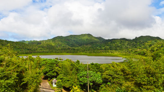 Grand Etang Forest Reserve, Grenada