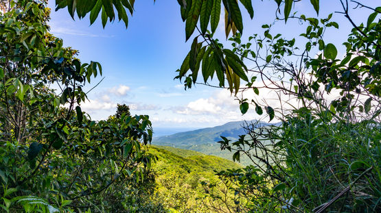 Basse-Terre Island, Guadeloupe