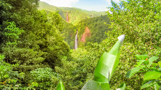 Guadeloupe