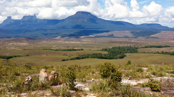 Guyana