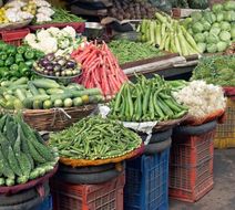 Delhi Scenery