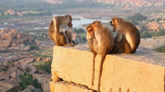 Hampi Ruins, India