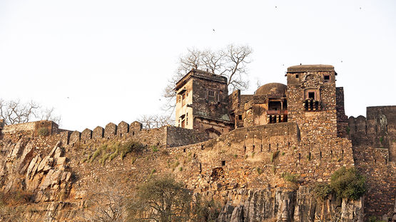 Ranthambore Natl Park, India