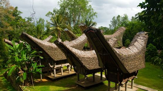 Sulawesi, Indonesia