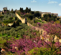 Florence Scenery