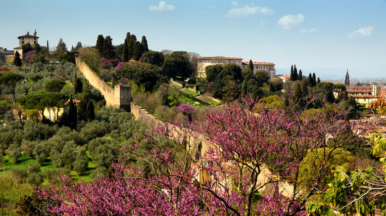 <b>Florence Scenery</b>