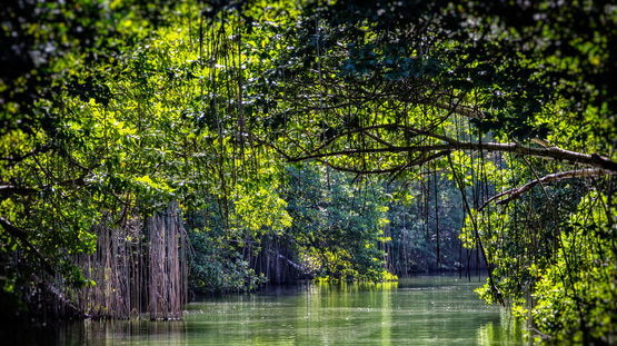 Black River, Jamaica
