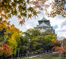 Osaka Scenery