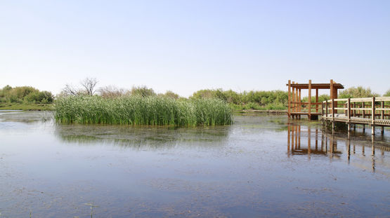 Azraq, Jordan