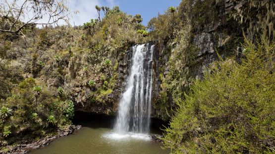 Aberdare National Park, Kenya