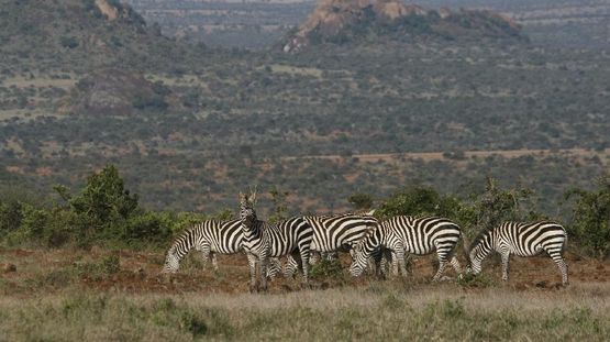 Laikipia Plateau, Kenya