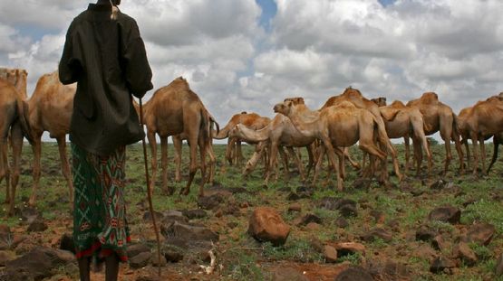 Marsabit Natl Reserve, Kenya