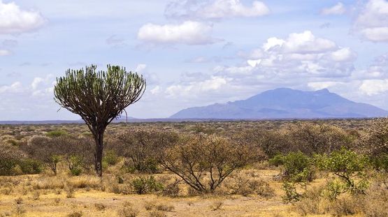 Meru National Park, Kenya